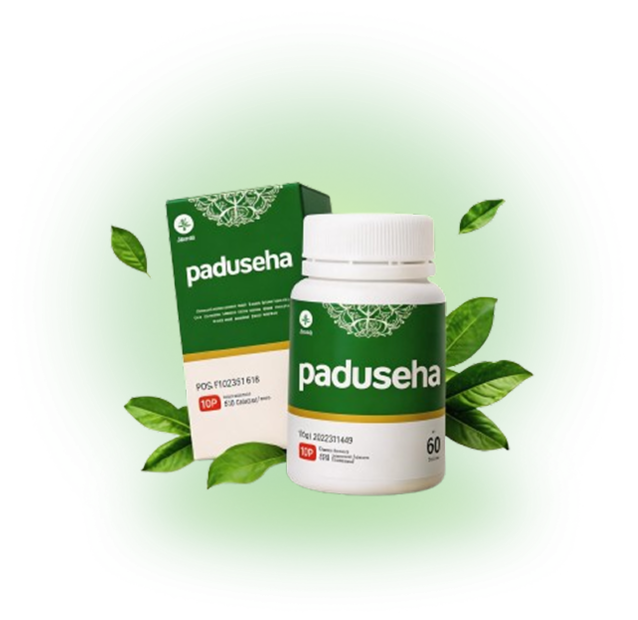 Paduseha Product